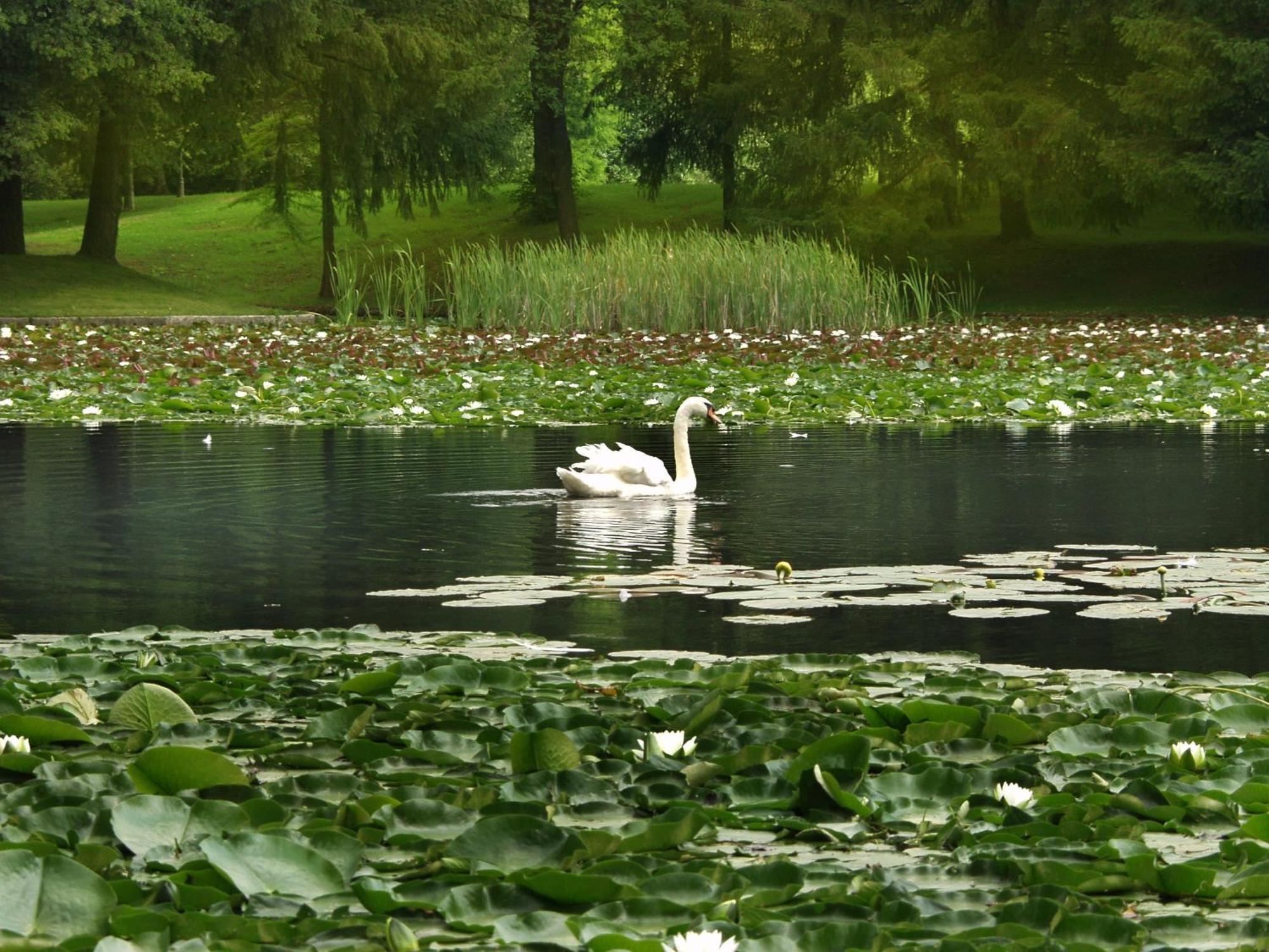 Elegans Hotel Brdo Kranj Luaran gambar