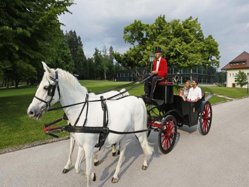 Elegans Hotel Brdo Kranj Luaran gambar