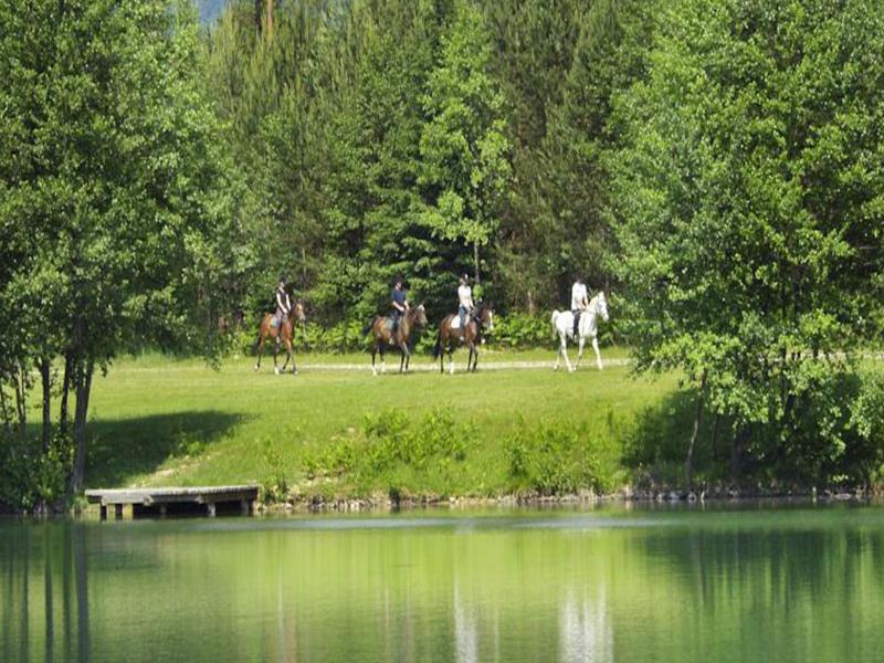 Elegans Hotel Brdo Kranj Luaran gambar